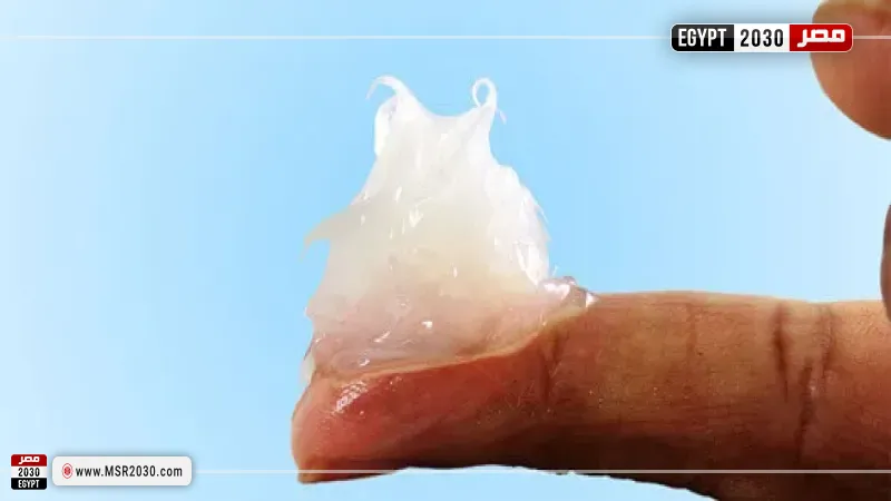 مصر 2030