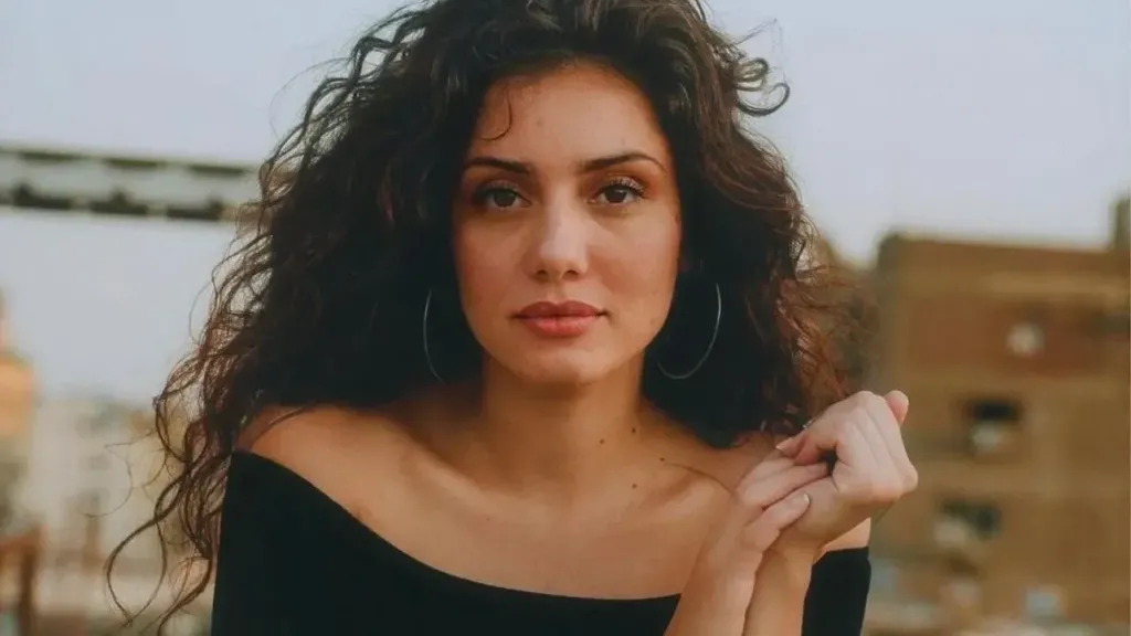 الفنانة جيهان الشماشرجي 
