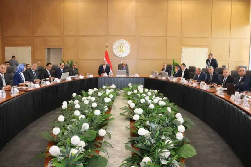 وزيرا الكهرباء والبترول يبحثان خطة العمل المشترك خلال فصل الصيف لمجابهة ارتفاع الأحمال