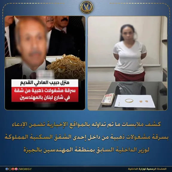 الداخلية توضح حقيقة سرقة شقة منسوبة لوزير الداخلية السابق 