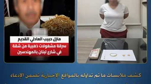 الداخلية توضح حقيقة سرقة شقة منسوبة لوزير الداخلية السابق بالمهندسين.. وتضبط المتهمة