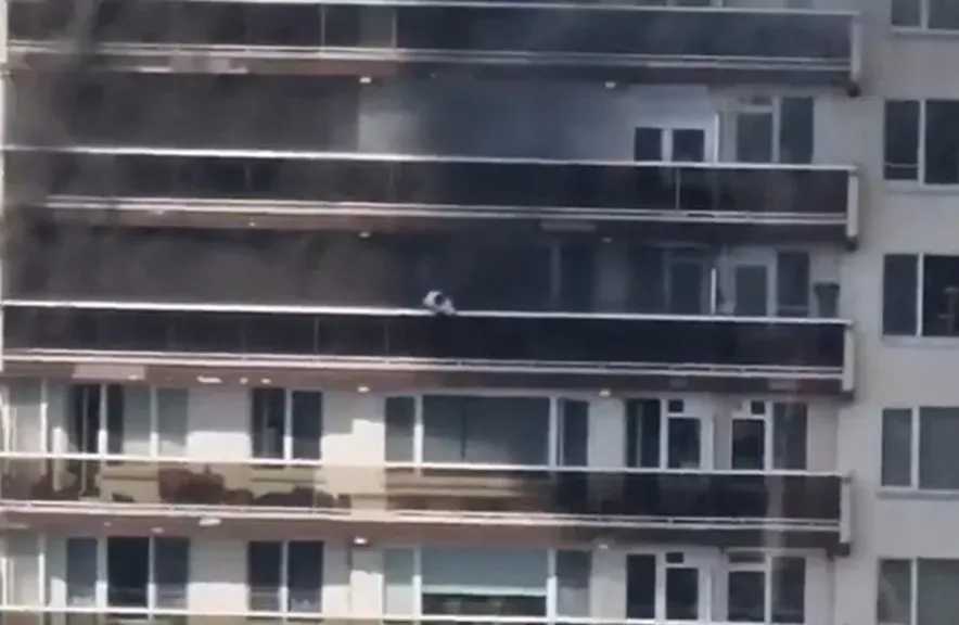 بلجيكا: مقتل 6 أشخاص على الأقل جراء حريق في مبنى سكني بمدينة أنتويرب