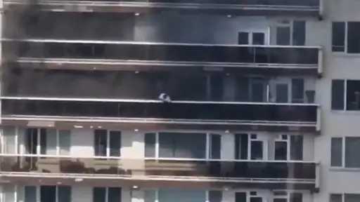 بلجيكا: مقتل 6 أشخاص على الأقل جراء حريق... بلجيكا: مقتل 6 أشخاص على الأقل جراء حريق في مبنى سكني بمدينة أنتويرب