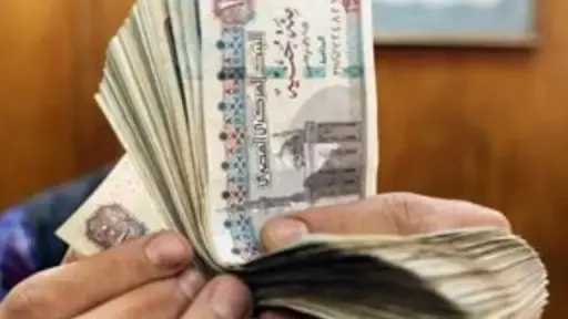 تفاصيل تصديق الرئيس السيسي على قانون زيادة الأجور... تفاصيل تصديق الرئيس السيسي على قانون زيادة الأجور والعلاوات بدء من يوليو 2026