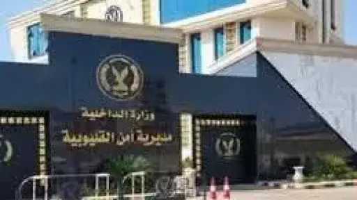 خلاف على تجارة المخدرات ينتهي بجريمة.. مقتل شاب... خلاف على تجارة المخدرات ينتهي بجريمة.. مقتل شاب طعنًا على يد آخر في القليوبية