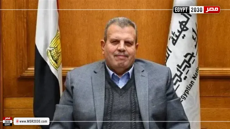 المهندس محمد عامر