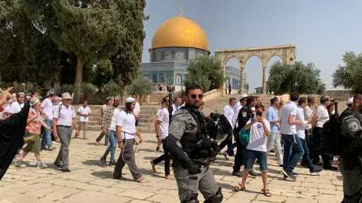 مستوطنون يقتحمون المسجد الأقصى بحماية قوات الاحتلال مستوطنون يقتحمون المسجد الأقصى بحماية قوات الاحتلال