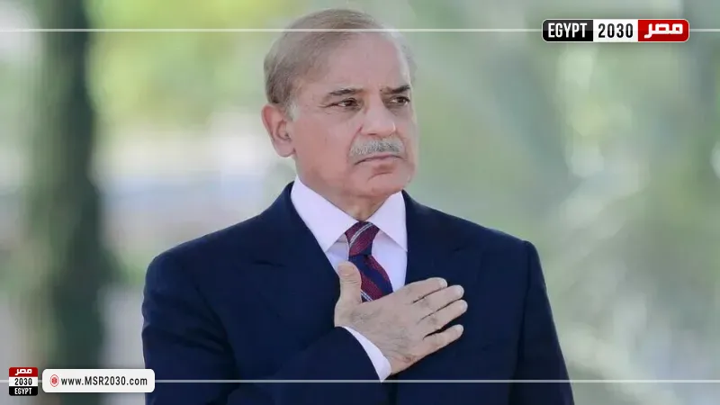 مصر 2030