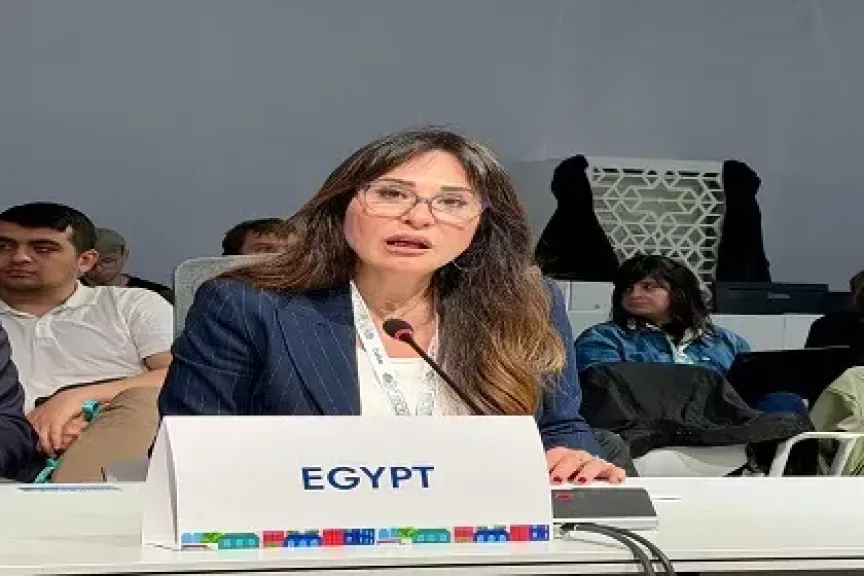 المهندسة راندة المنشاوي