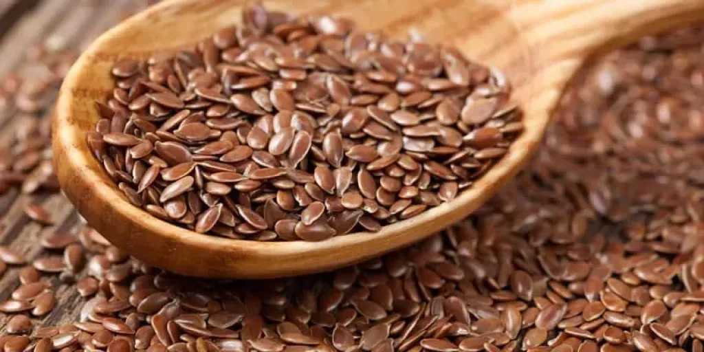 كل ما تود معرفته عن بذور الكتان