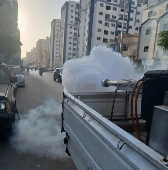 حملات مكافحة الحشرات والناموس