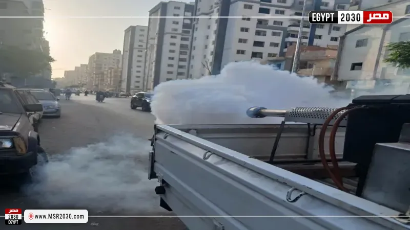 حملات مكافحة الحشرات والناموس