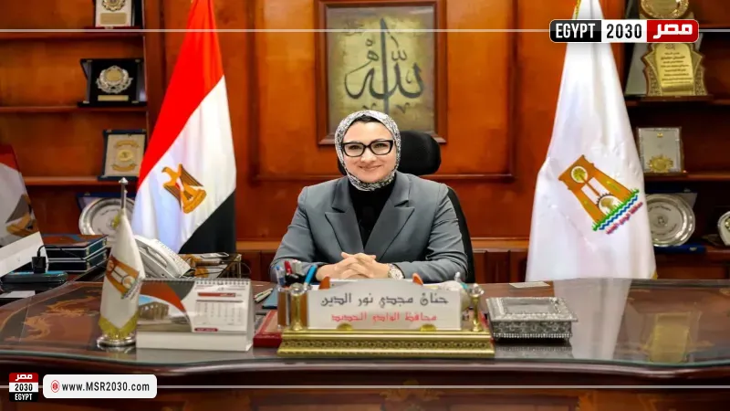 محافظ الوادي الجديد