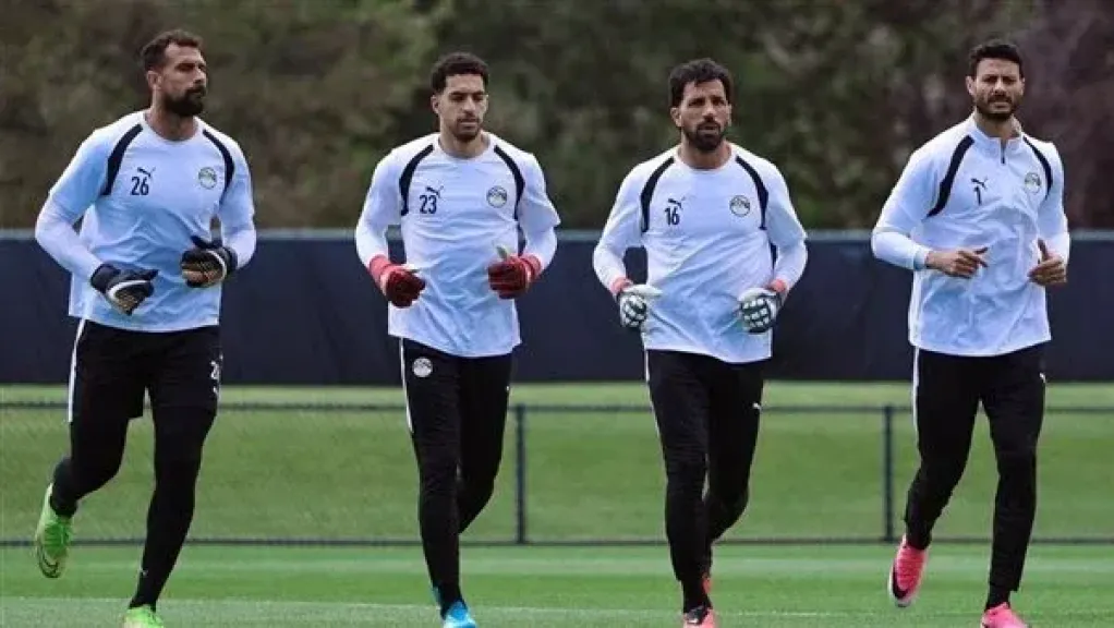 محمد علاء