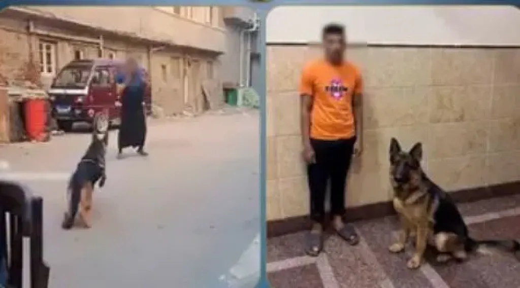 المتهم 