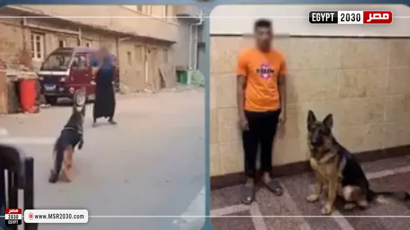 المتهم 