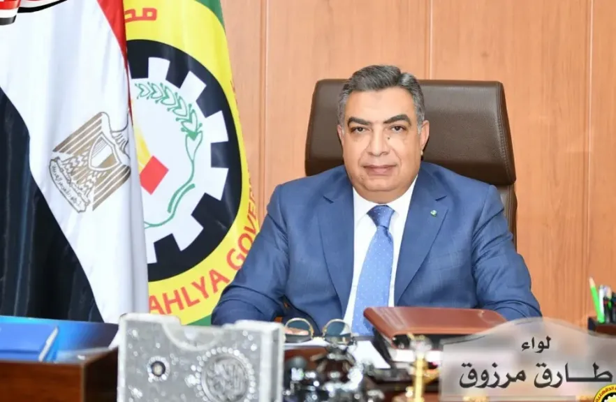 محافظ الدقهلية 