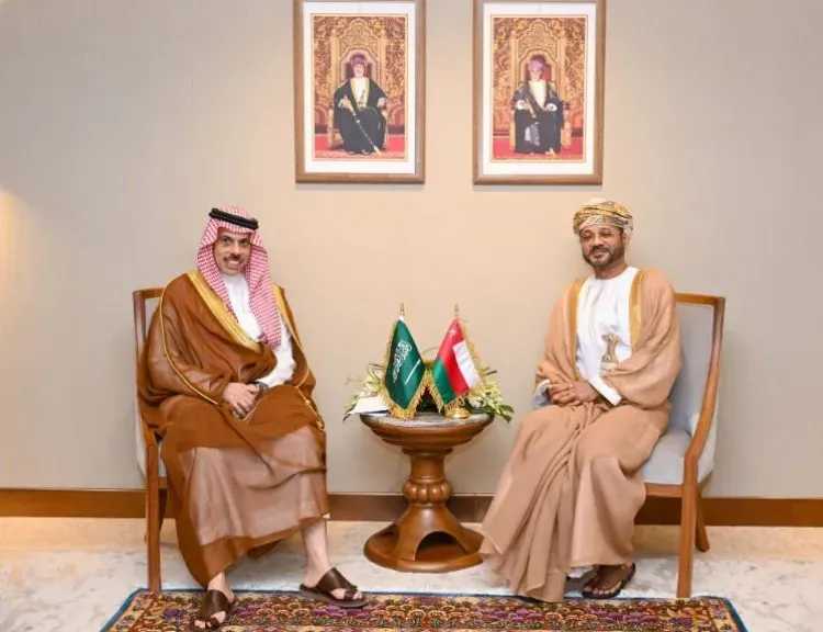 وزيرا خارجية السعودية وعمان يبحثان التطورات بمضيق هرمز