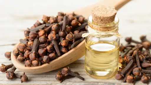 ماذا يحدث لجسمك عند مضغ القرنفل صباحًا؟