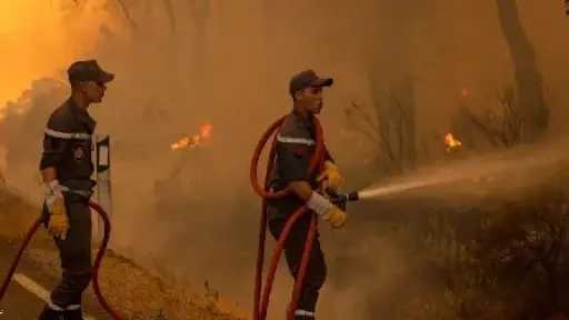 المغرب يواصل إخماد حريق في واحات جنوب شرقي... المغرب يواصل إخماد حريق في واحات جنوب شرقي البلاد