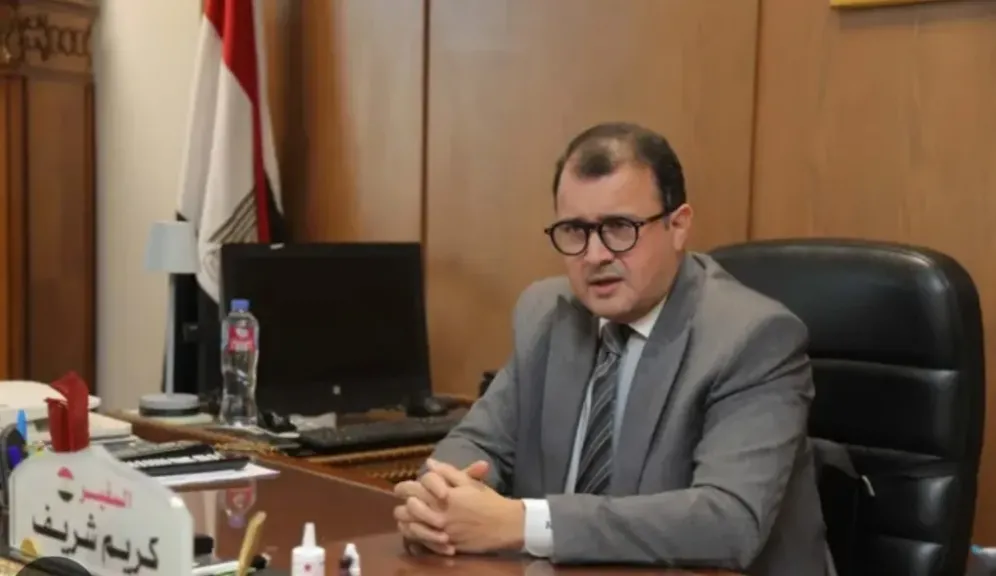 مساعد وزير الخارجية 