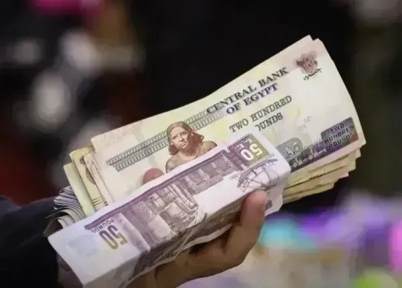 الشهادة البلاتينية الثابتة