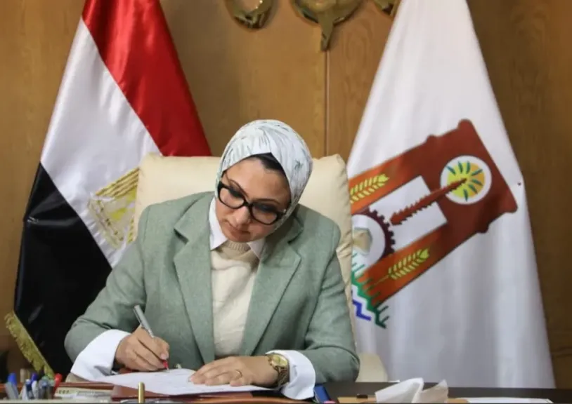 محافظ الوادي الجديد
