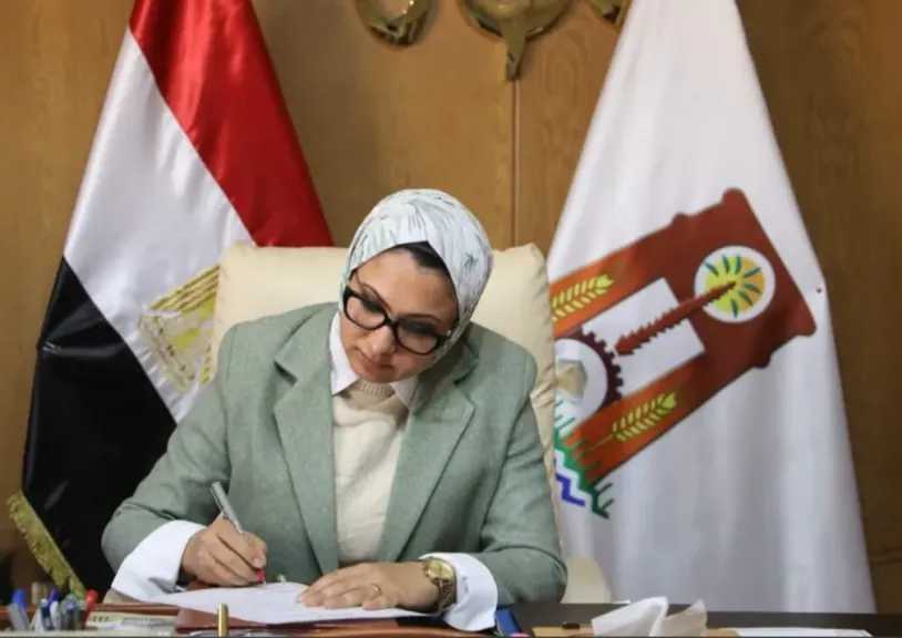 محافظ الوادي الجديد تعتمد حركة رؤوساء المراكز ونوابهم