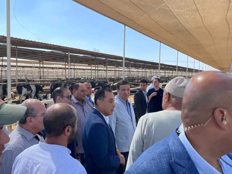 رئيس الوزراء: الأمن الغذائي وتطوير الريف في صدارة أولويات الدولة الاستراتيجية