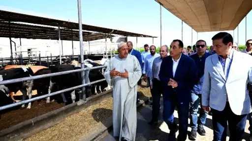 وزير الزراعة: إنتاج مصر من اللحوم الحمراء يبلغ... وزير الزراعة: إنتاج مصر من اللحوم الحمراء يبلغ 600 ألف طن وتحقيق الاكتفاء الذاتي من الألبان