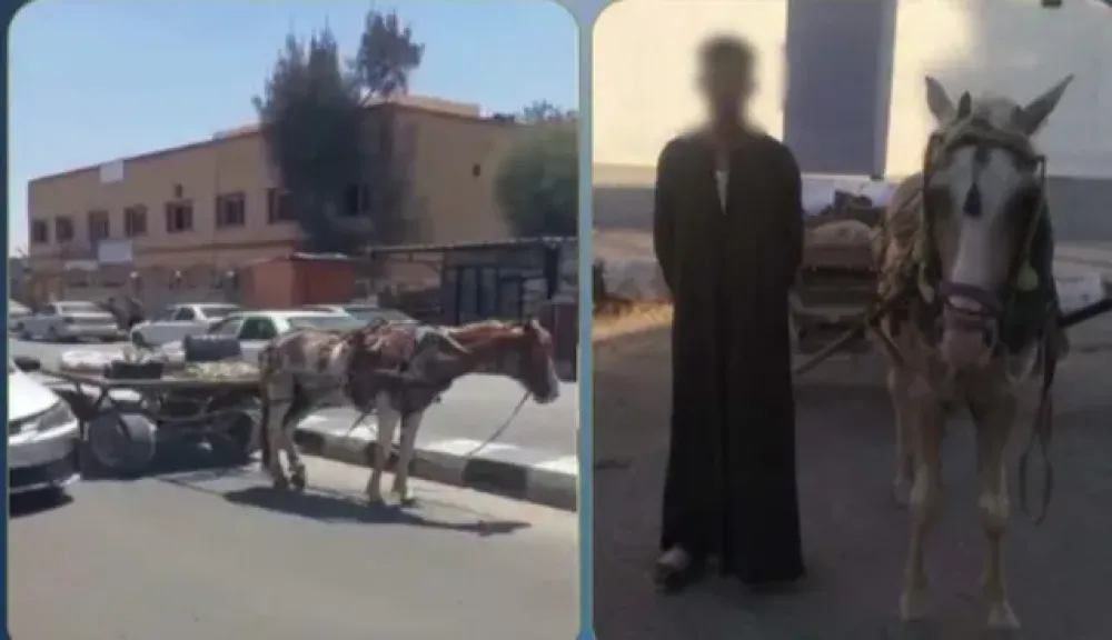 المتهم 
