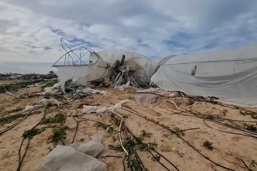 بالأرقام.. دمار غير مسبوق يصيب القطاع الزراعي في غزة