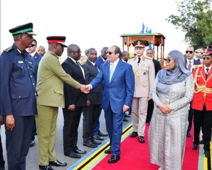 زيارة الرئيس السيسي لتنزانيا