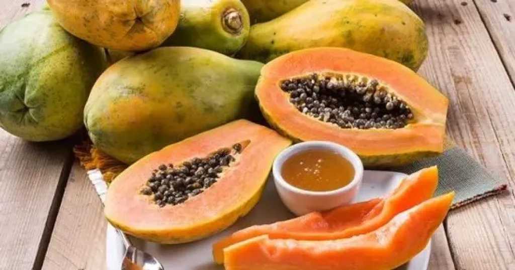 ماذا يحدث عند تناول البابايا يوميًا لمدة شهر؟.. فوائد مذهلة وتحذيرات مهمة