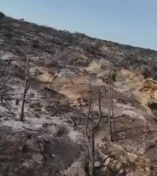 حرائق ضخمة في غابات جبل الطويلة غرب تونس