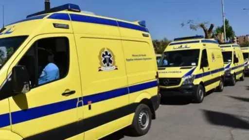 إصابة 11 شخصا إثر انقلاب تروسيكل بطريق بلبيس... إصابة 11 شخصا إثر انقلاب تروسيكل بطريق بلبيس – العاشر من رمضان بالشرقية