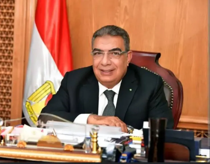 محافظ الدقهلية 