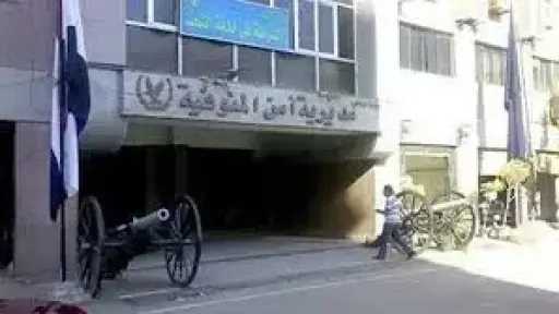 خلاف على أرض بالميراث يقود للتحقيق.. تفاصيل فيديو سيدة «البلطجة» في المنوفية
