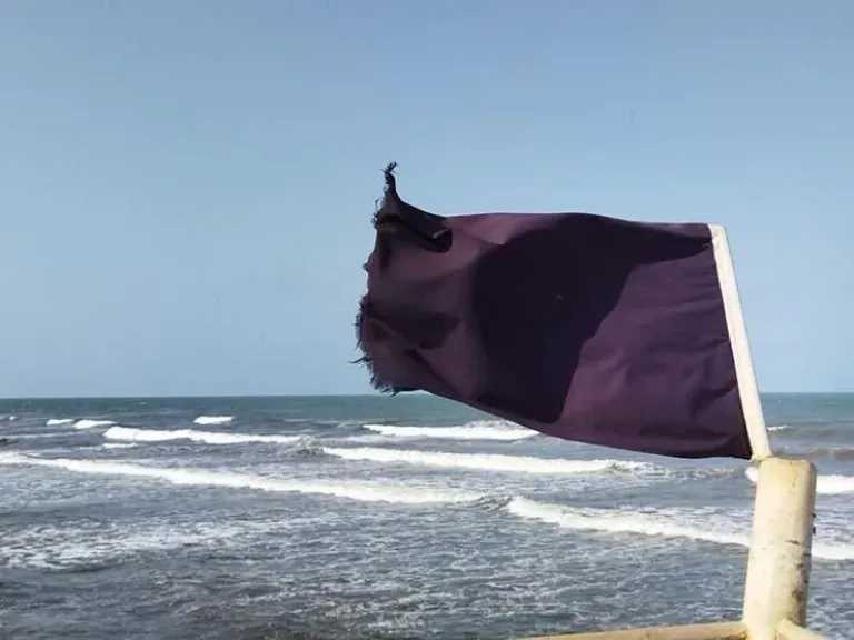 الأرصاد تحذر المصطافين: التزموا بالرايات وتعليمات الإنقاذ مع استمرار اضطراب البحر