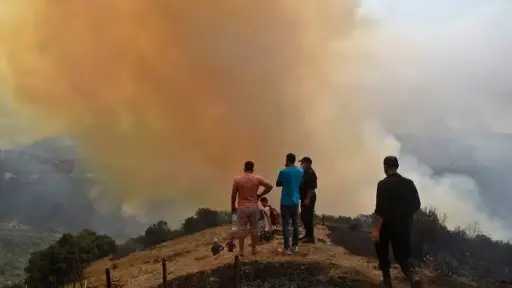 إخماد جميع حرائق الغابات في الجزائر
