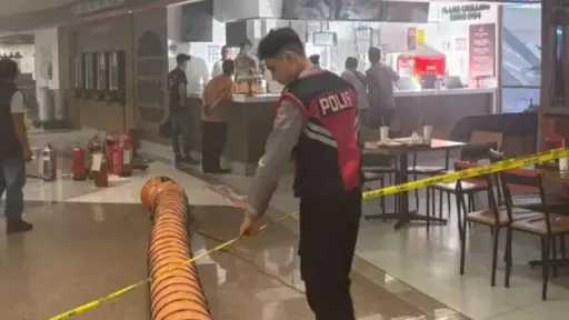 الشرطة الإندونيسية تحقق في سبب حريق في صالة... الشرطة الإندونيسية تحقق في سبب حريق في صالة سفر بمطار في بالي