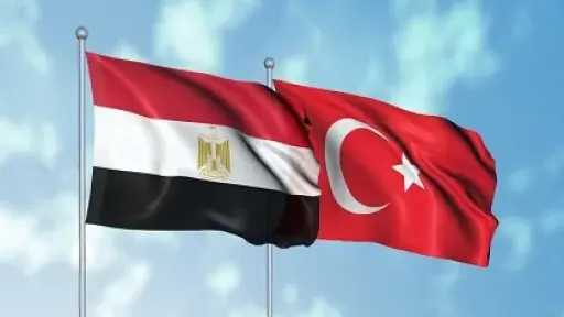 التنسيق المصري التركي أسهم في دعم مسار وقف إطلاق النار في غزة..تفاصيل