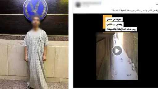 سقوط المتهم في واقعة ضرب «جرو» بالبراجيل بعد... سقوط المتهم في واقعة ضرب «جرو» بالبراجيل بعد انتشار الفيديو