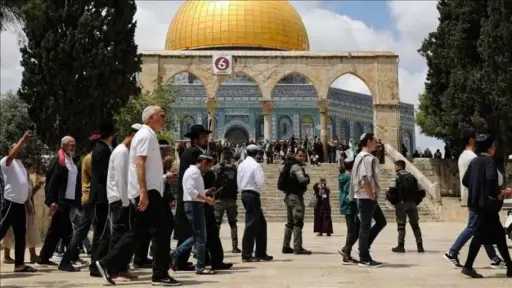 181 مستوطنًا يقتحمون المسجد الأقصى بحماية قوات الاحتلال الإسرائيلي