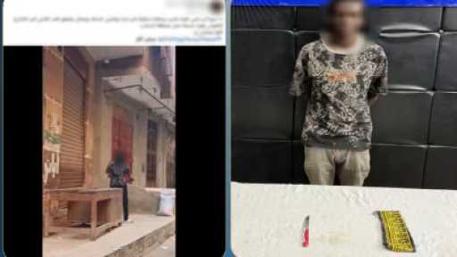 الداخلية تكشف تفاصيل فيديو شخص ملثم يحمل سلاحًا أبيض في مدينة نصر