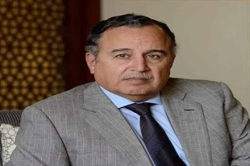 السفير نبيل فهمي