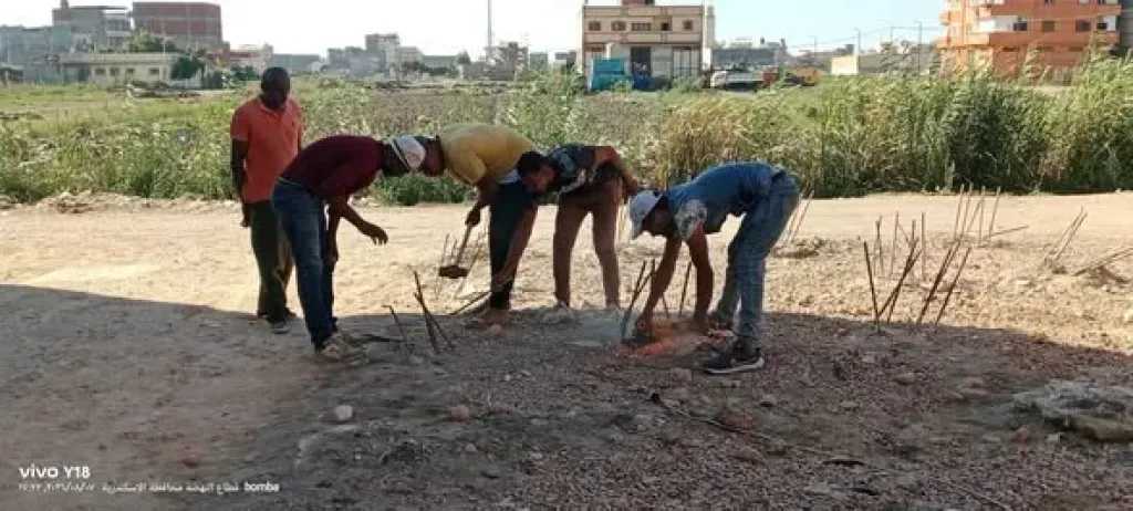 إزالة حالات بناء على أراضٍ زراعية بالإسكندرية وإيقاف أعمال مخالفة بدون ترخيص
