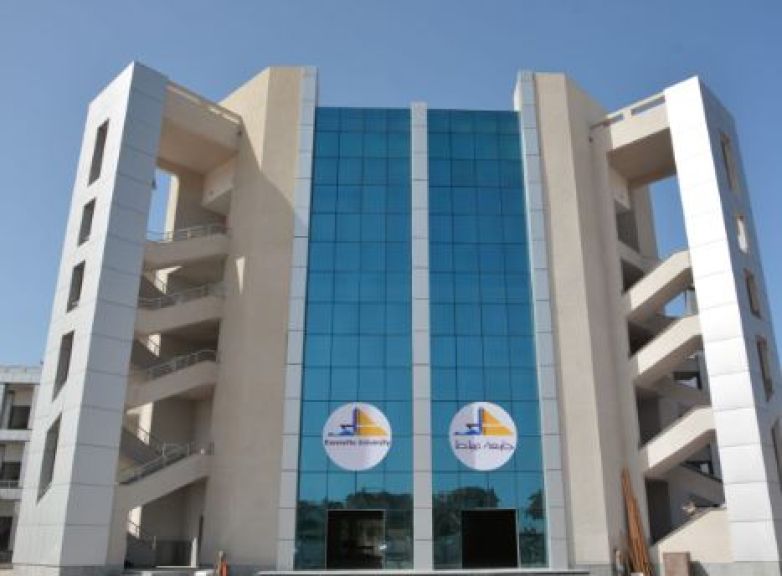 جامعة دمياط