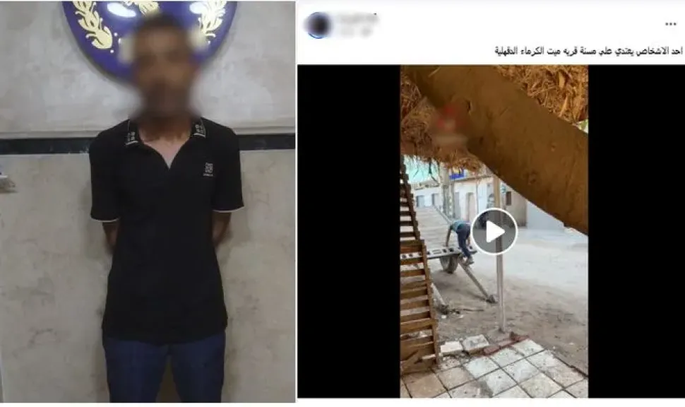 المتهم 