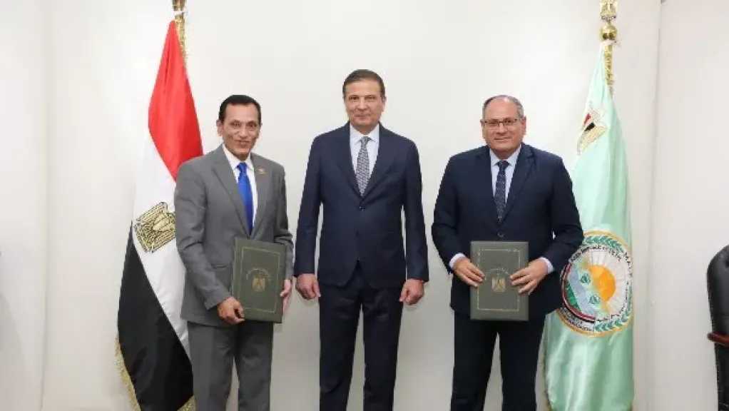 «الزراعة» تتوسع في إنتاج هجن الطماطم محليًا من المغرة